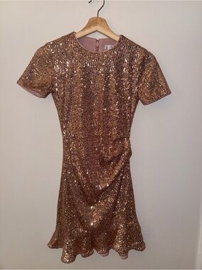 Ever New Rose Gold Sequin Short Sleeve Dress